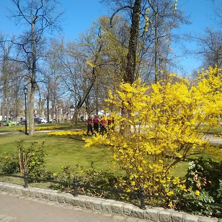 Blekitny Wieloryb Przy Plazy, Molo, Idealny Dla Podroznikow Апартаменти *